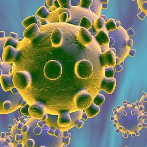 Imagem da Informações Úteis sobre o Coronavírus
